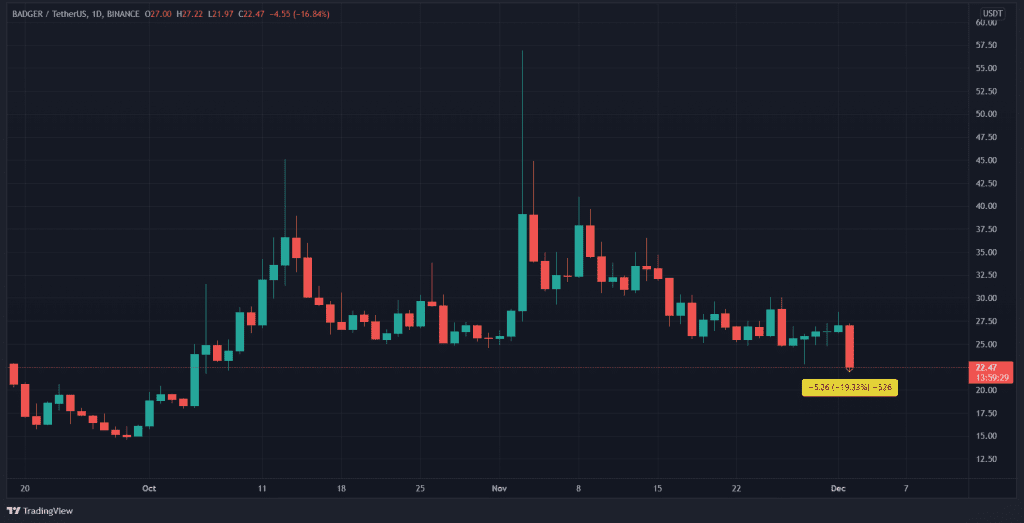 Badgerusdt20211202050032 4c by 360trader