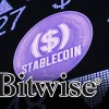 stablecoin