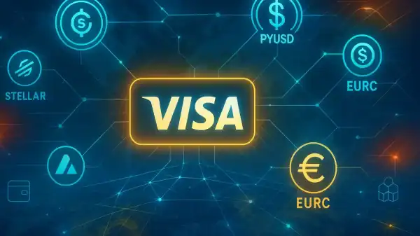 Visa stablecoin strategy