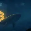 Bitcoin whale blackrock etf
