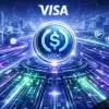 VISA USDC Solana Bank Blockchain